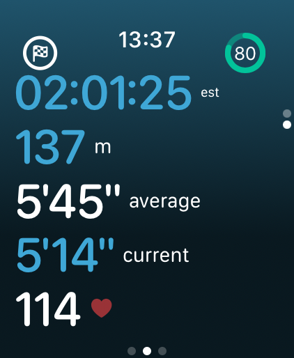 Race screen: race progress, average pace and the gap to goal pace